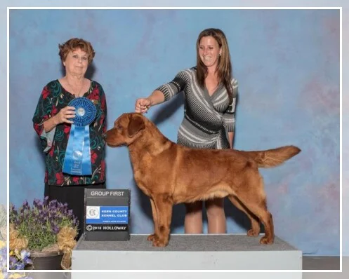 ELKENS FORGED IN FIRE 'FORD'