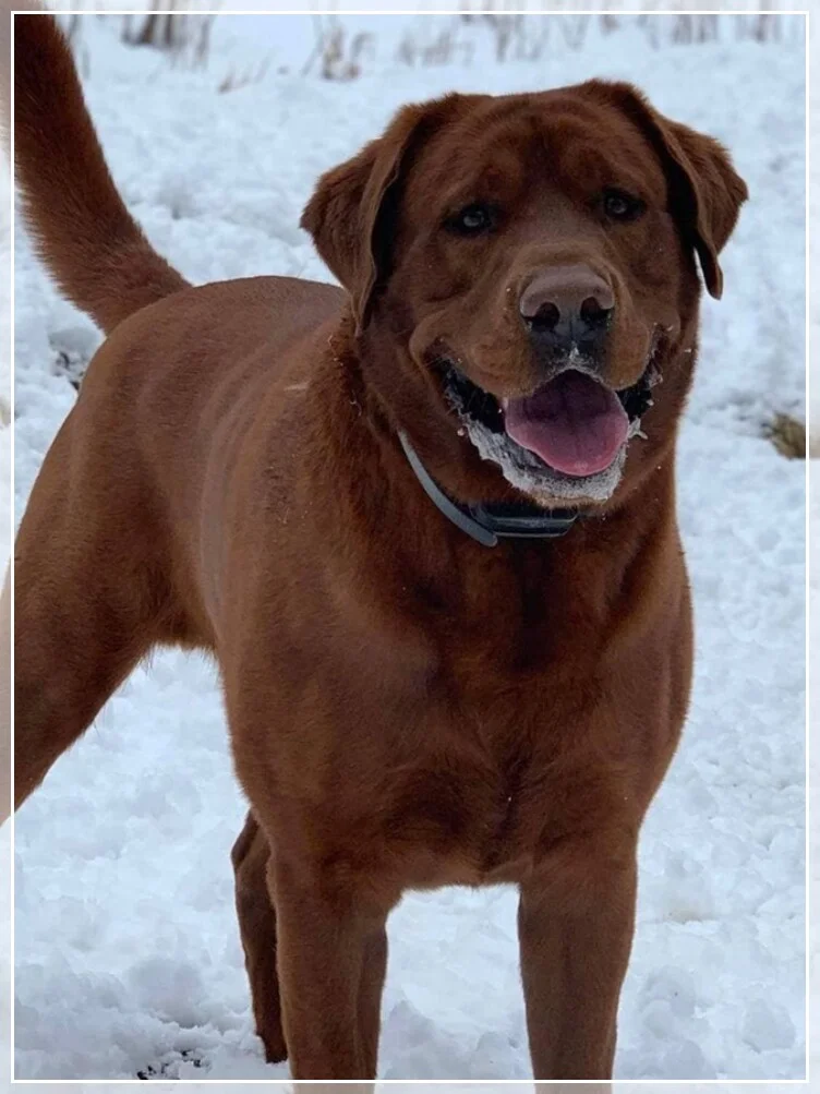 ENIGHTENED LABS WAKAN TANKA