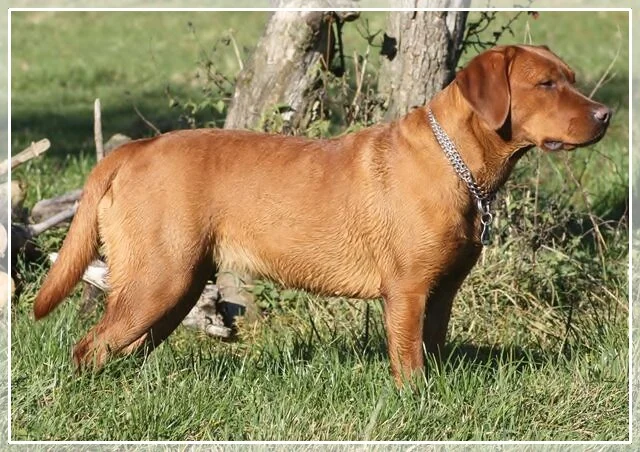 Queen Mary von der Holzmühle