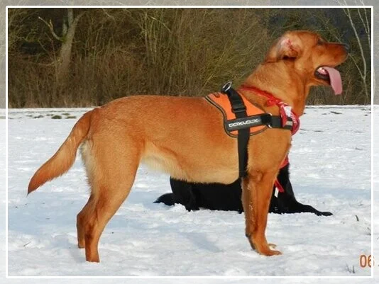 Elkens Red Rock Of Fabulous Canyonland Utah