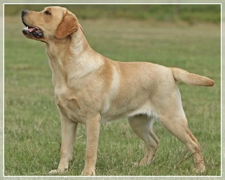 Me and You Megan of Jasper's Golden Silence