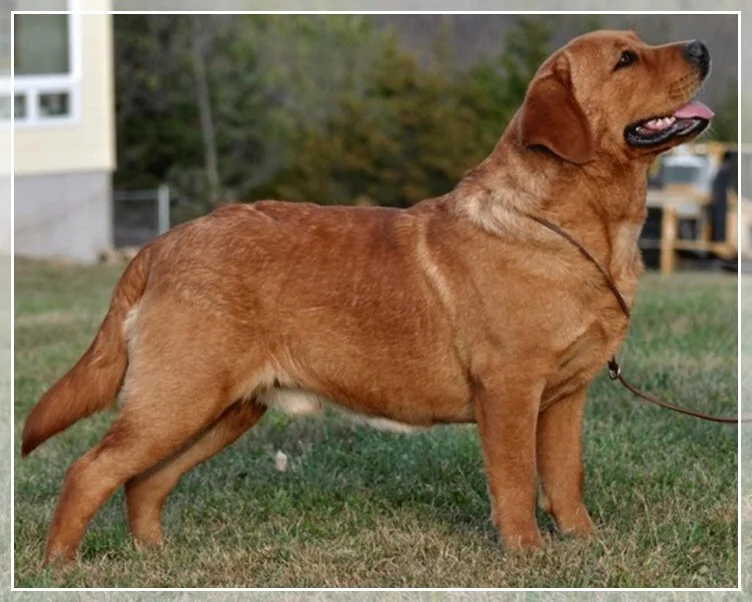 PENARA 'S TURNIN UPTHEHEAT AT BRIARWOOD